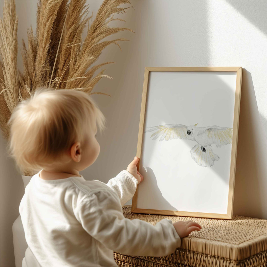 Affiche - animaux d'Australie - cacatoès en vol