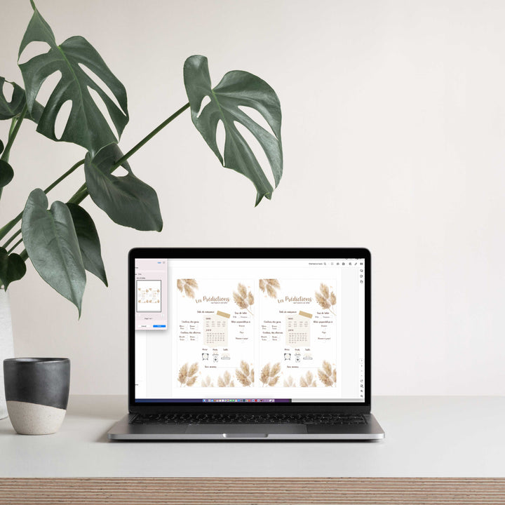 Duo : Cartons les prédictions et souhaits de bébé pampas (version numérique seulement)