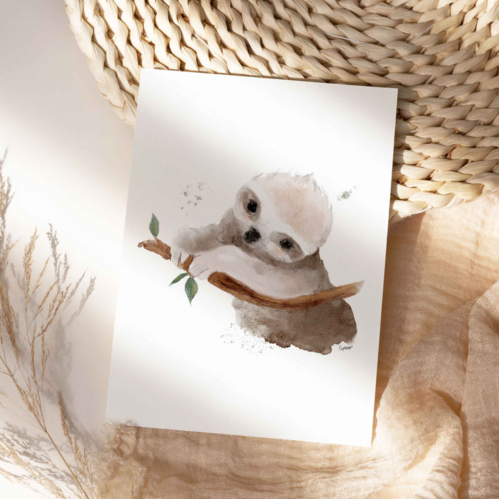 Affiche - animaux d'Australie - le bébé paresseux