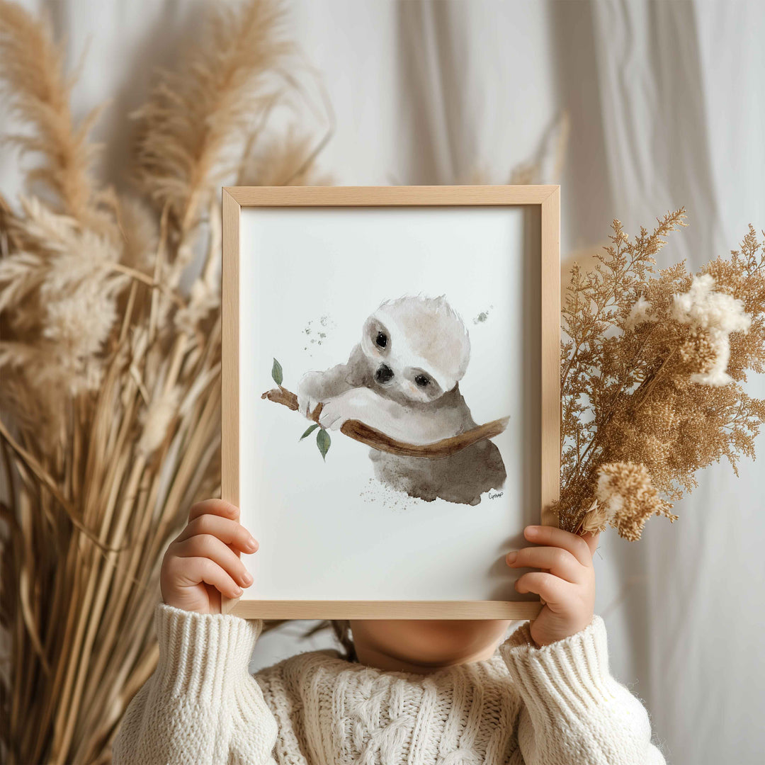 Affiche - animaux d'Australie - le bébé paresseux