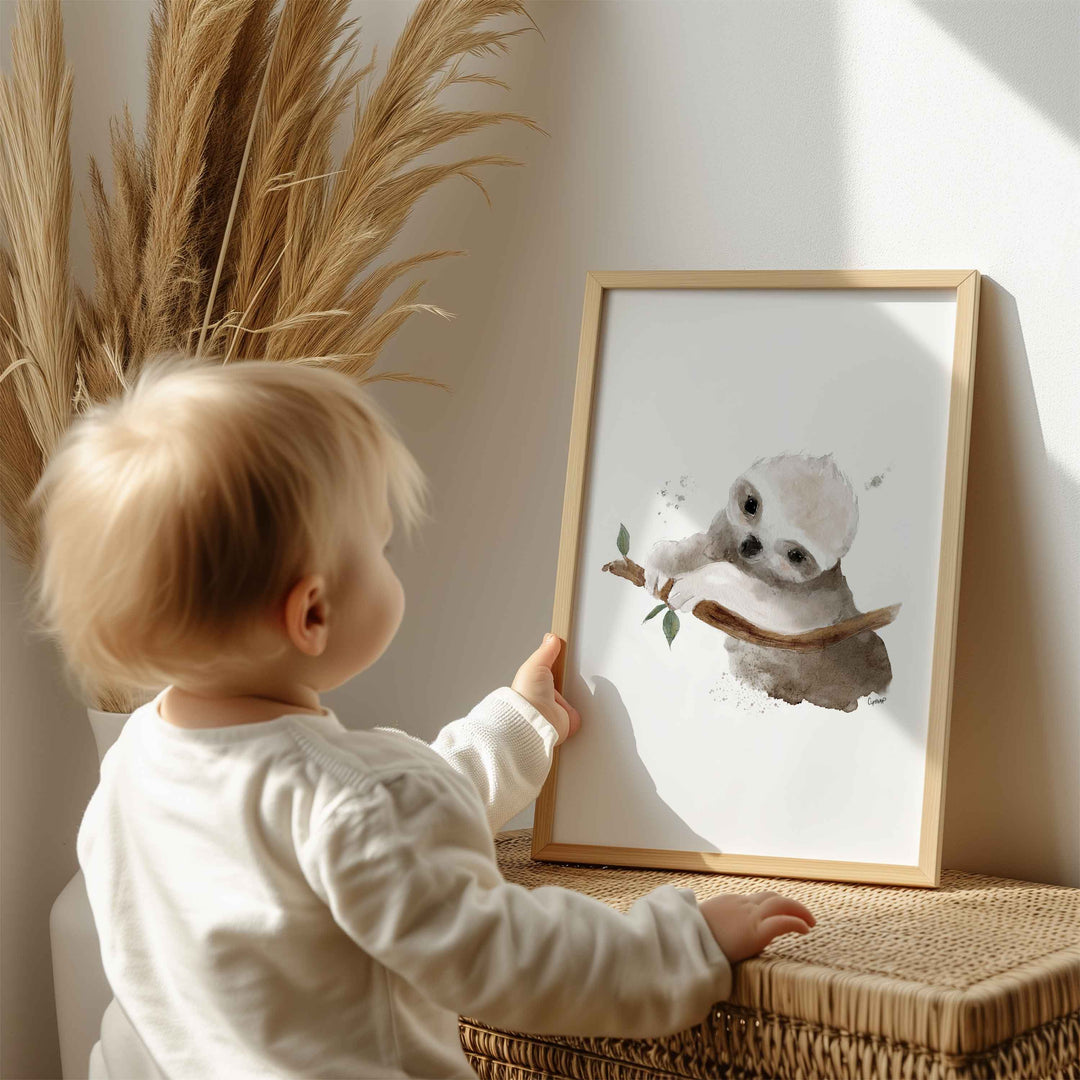 Affiche - animaux d'Australie - le bébé paresseux