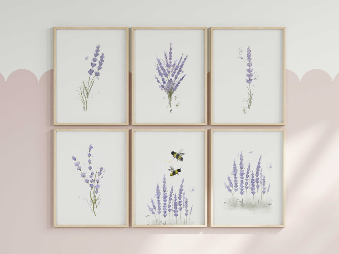 Ensemble de 6 illustrations - Fleurs de lavande