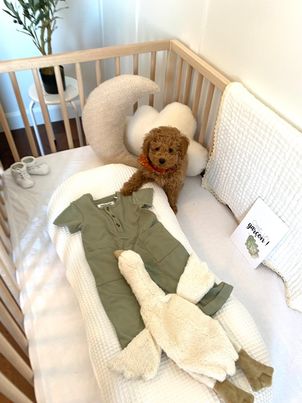 Cartes-étapes - Ma grossesse, Pampas et feuillage