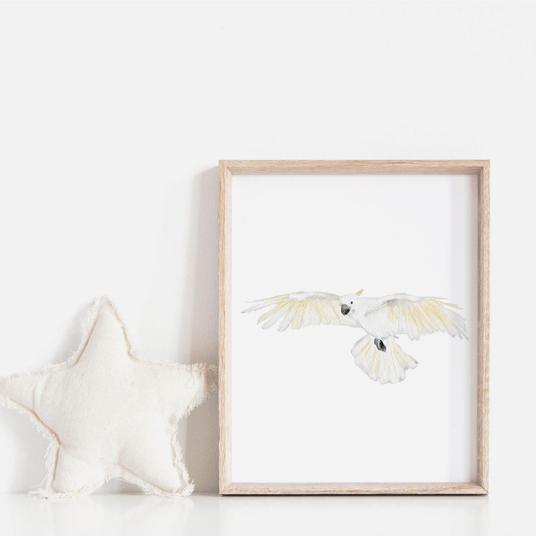 Affiche - animaux d'Australie - cacatoès en vol