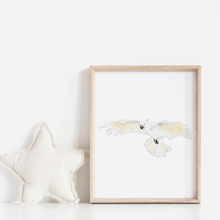 Affiche - animaux d'Australie - cacatoès en vol