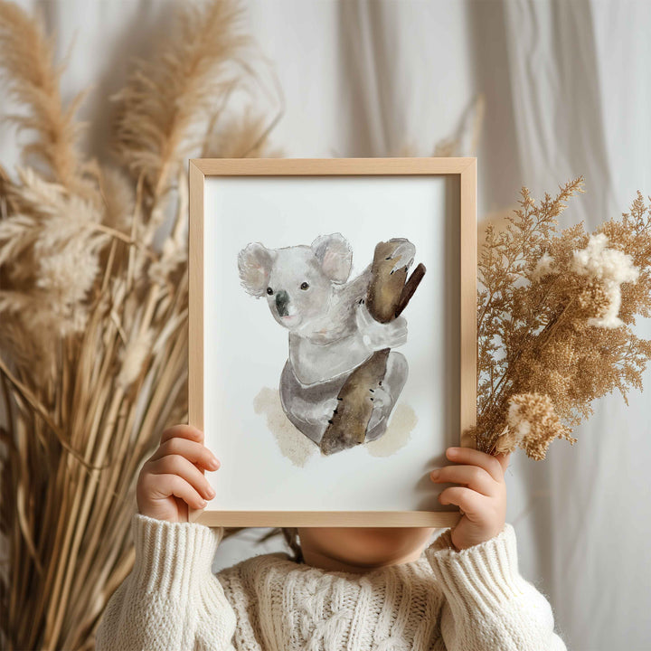 Affiche - animaux d'Australie - koala curieux