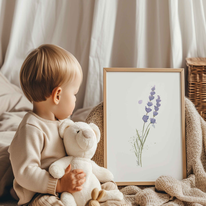 Ensemble de 6 illustrations - Fleurs de lavande