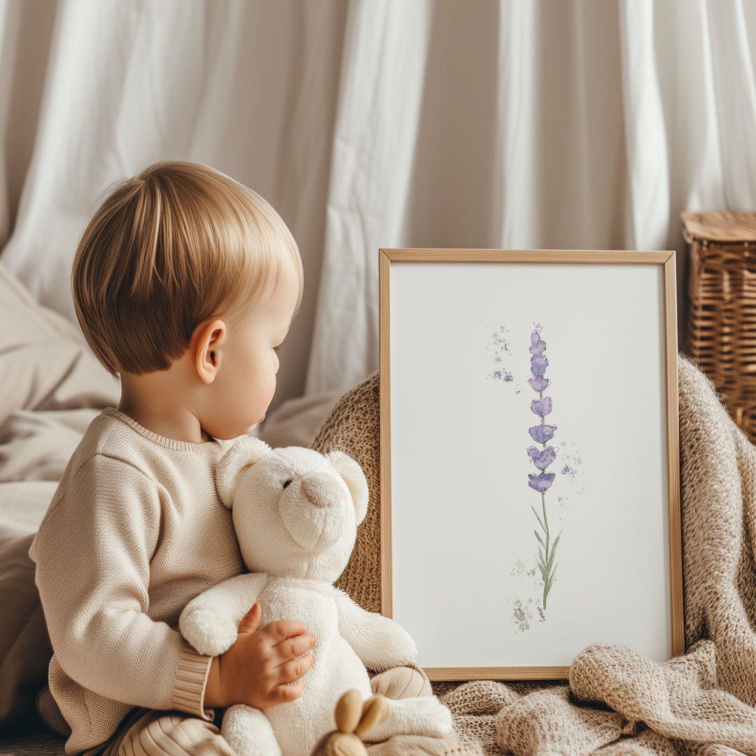 Ensemble de 6 illustrations - Fleurs de lavande