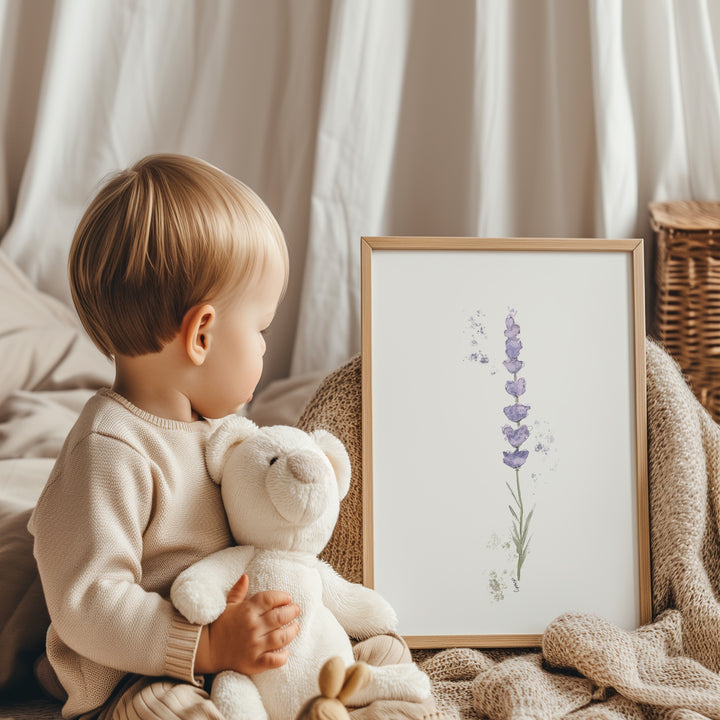 Ensemble de 6 illustrations - Fleurs de lavande