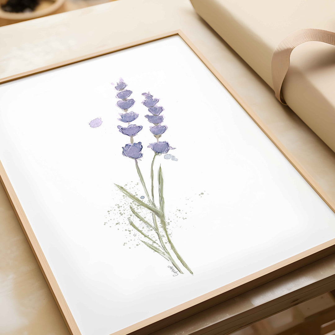 Ensemble de 6 illustrations - Fleurs de lavande