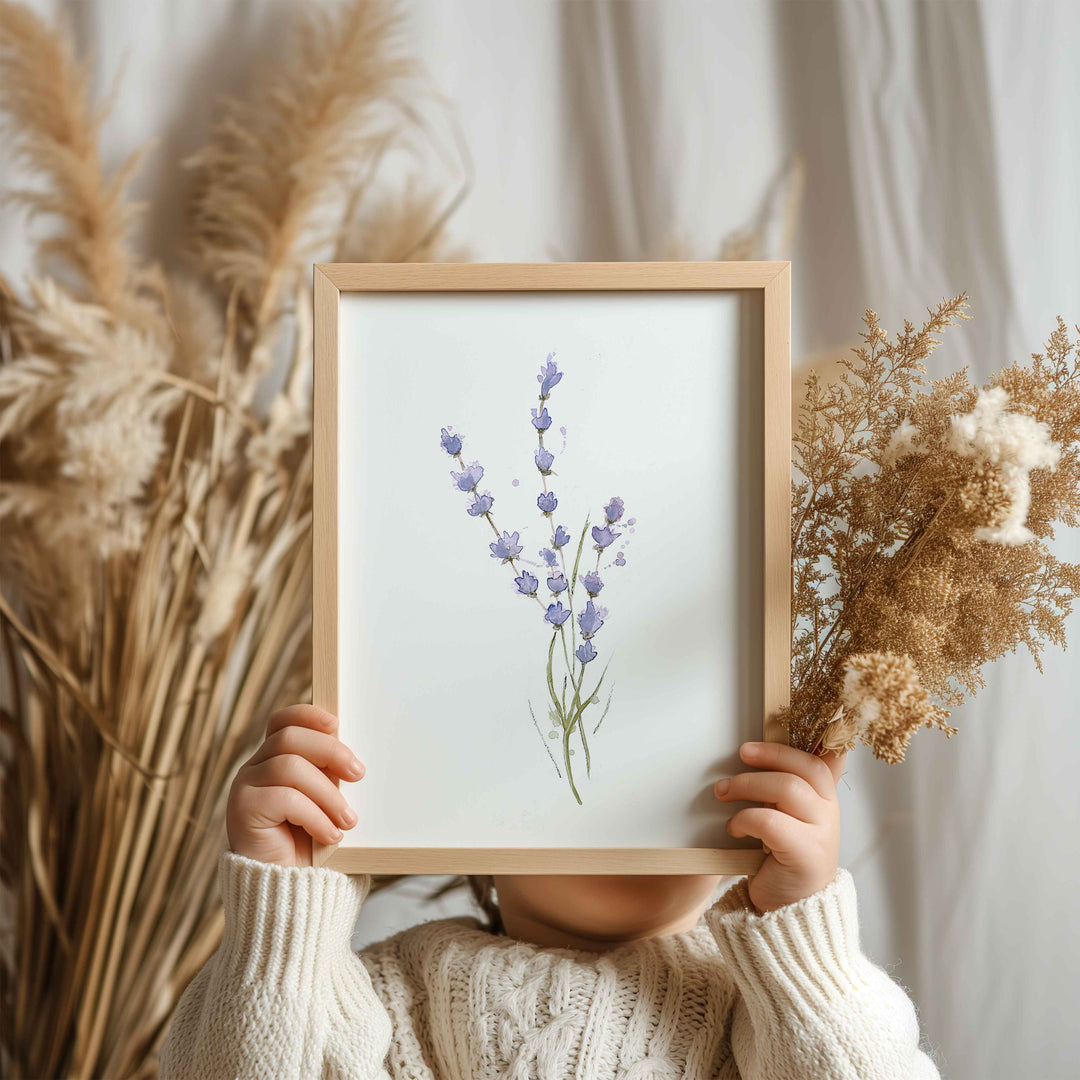 Illustration - Trio fleurs de lavande