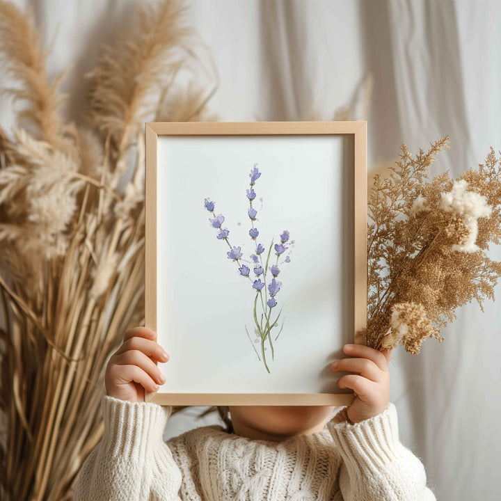 Illustration - Trio fleurs de lavande