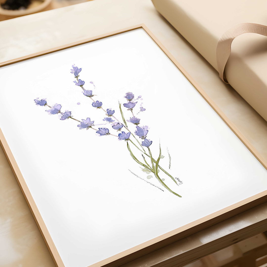 Ensemble de 6 illustrations - Fleurs de lavande