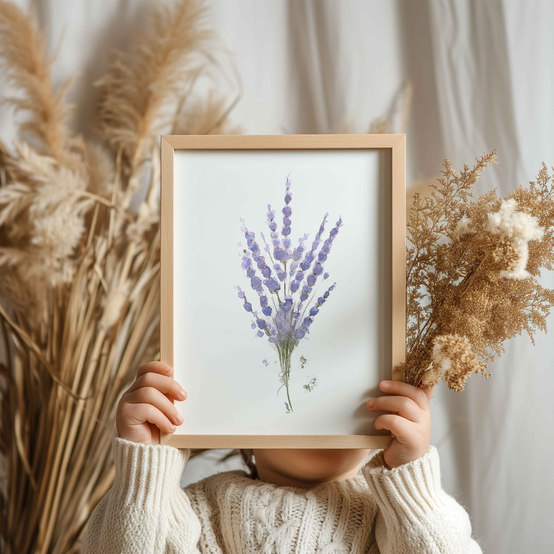 Ensemble de 6 illustrations - Fleurs de lavande