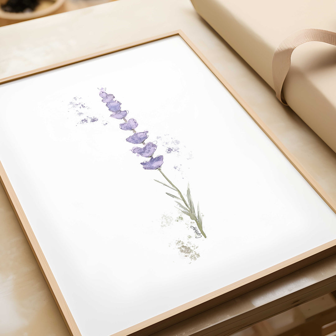 Ensemble de 6 illustrations - Fleurs de lavande