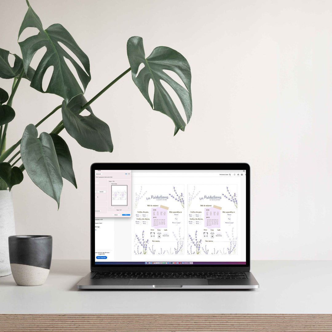 Duo : Cartons les prédictions et souhaits de bébé lavande (version numérique seulement)