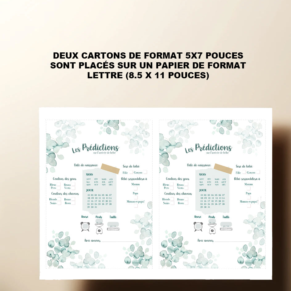 Duo : Cartons les prédictions et souhaits de bébé eucalyptus (version numérique seulement)