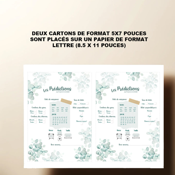 Duo : Cartons les prédictions et souhaits de bébé eucalyptus (version numérique seulement)