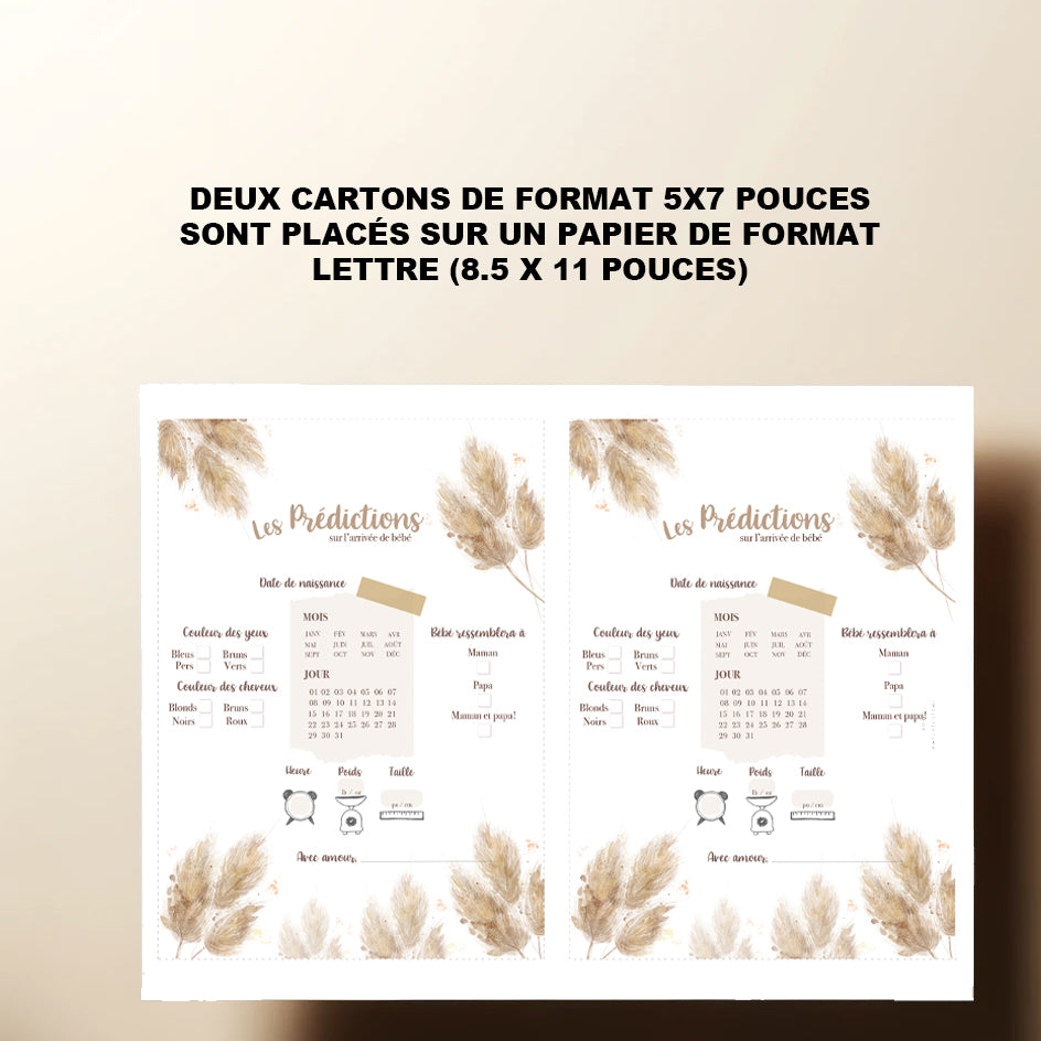 Duo : Cartons les prédictions et souhaits de bébé pampas (version numérique seulement)
