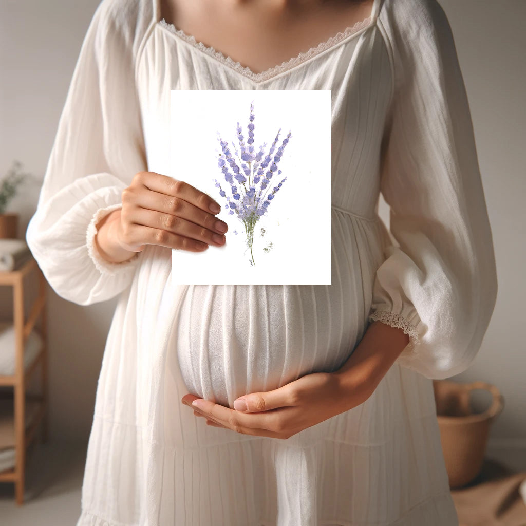 Ensemble de 6 illustrations - Fleurs de lavande