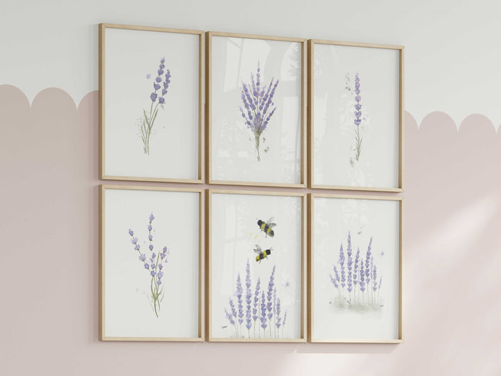 Ensemble de 6 illustrations - Fleurs de lavande