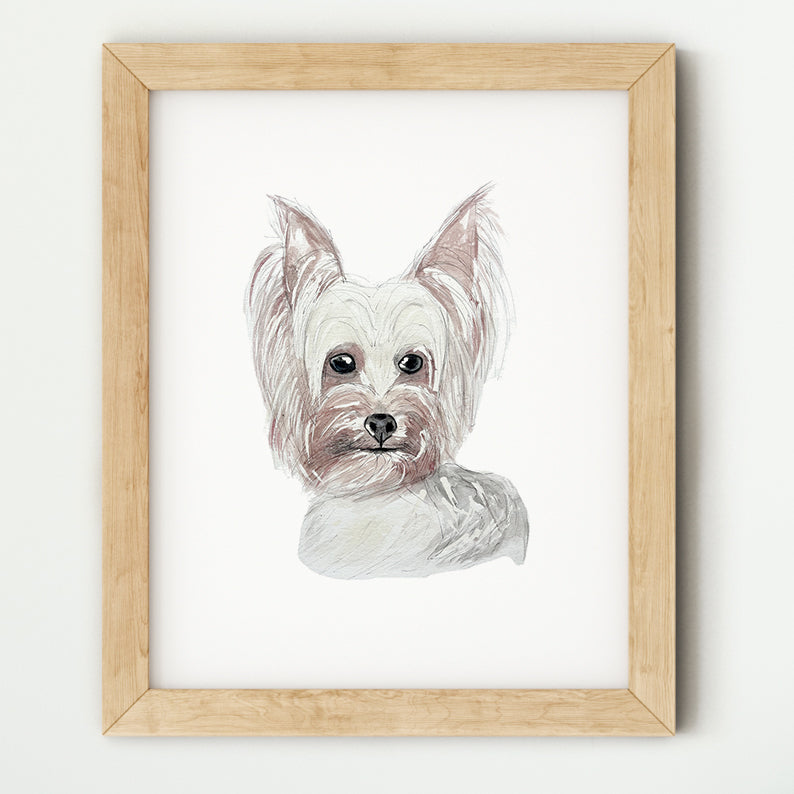 Portrait de votre fidèle compagnon • pour les amoureux des animaux