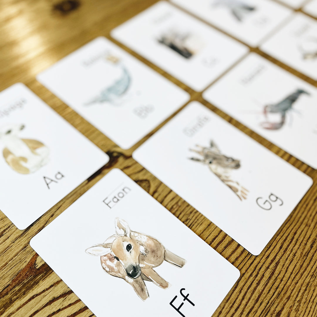 Cartes à lettres - Alphabet et nom des animaux