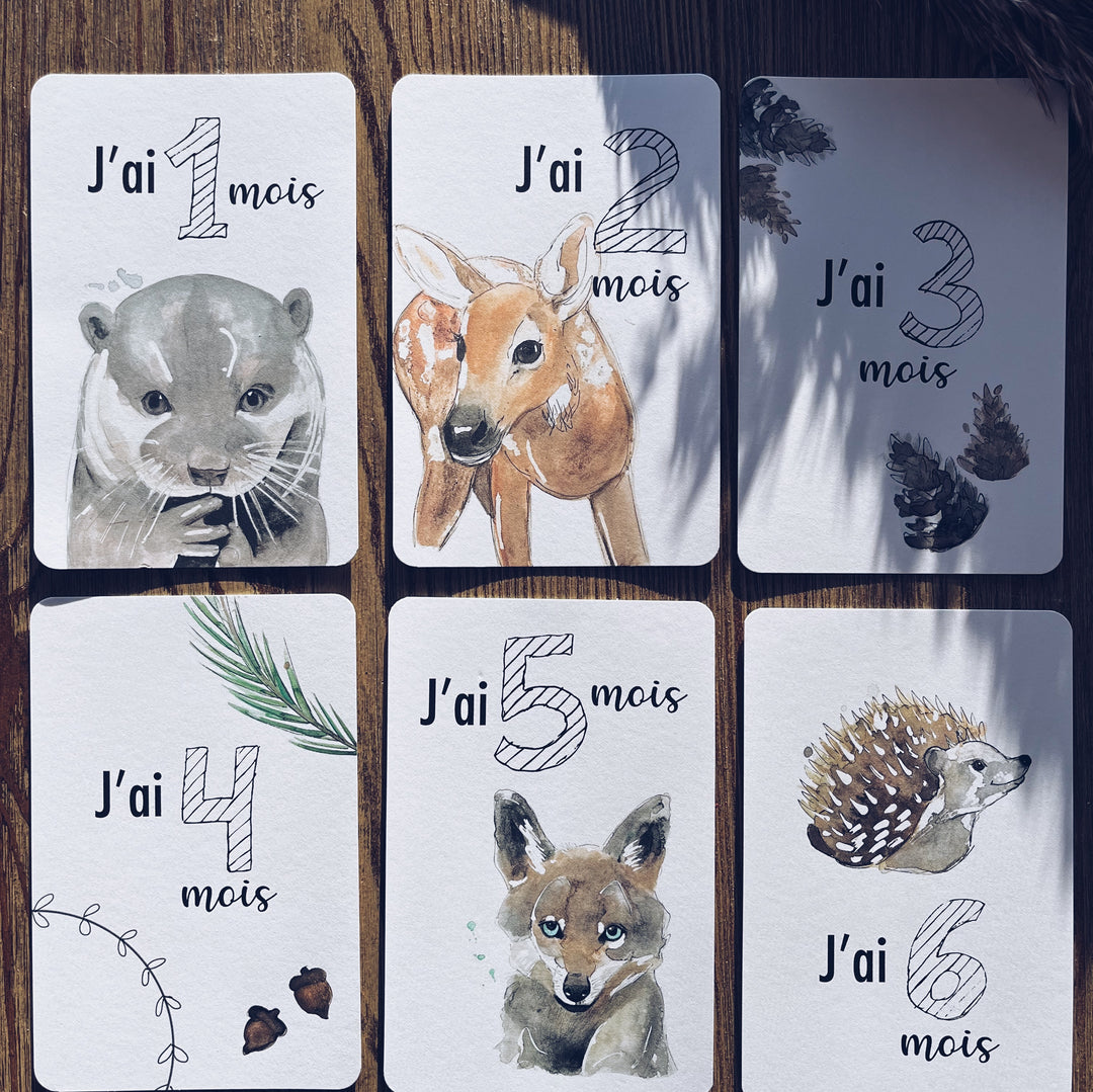 Cartes-étapes · bébé · Animaux de la forêt