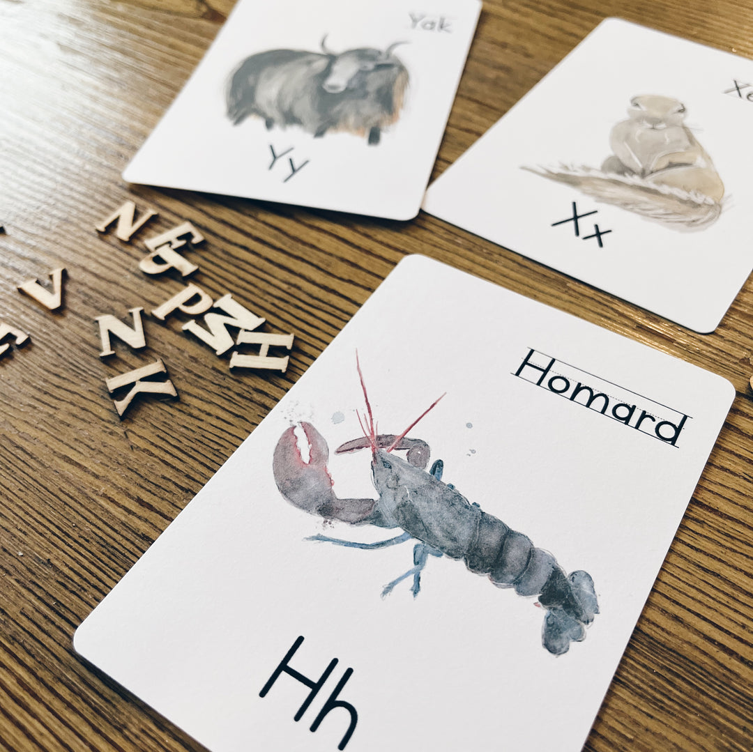 Cartes à lettres - Alphabet et nom des animaux