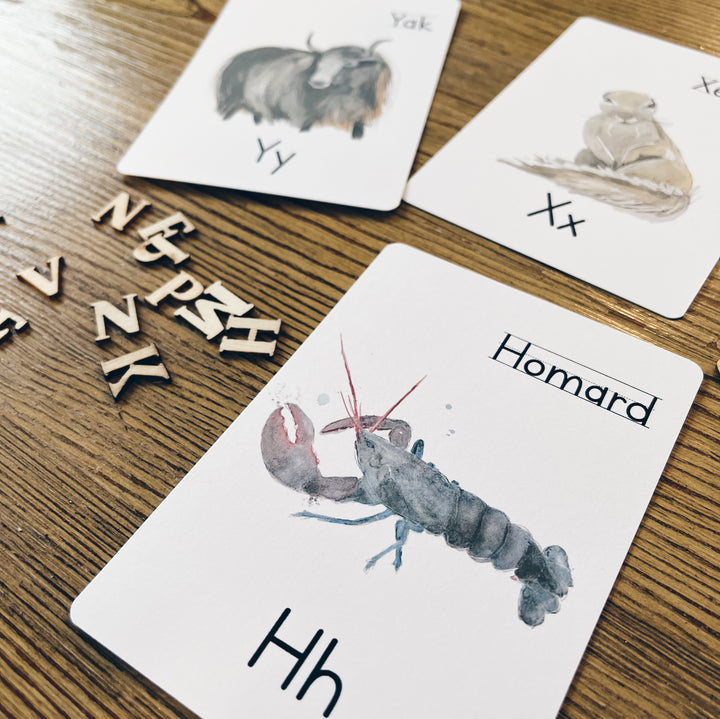 Cartes à lettres - Alphabet et nom des animaux