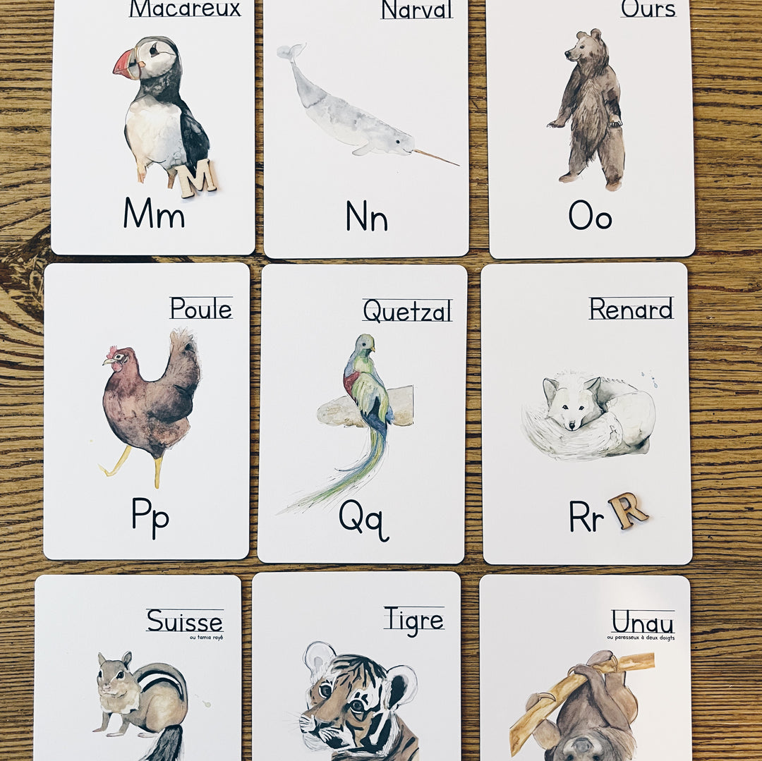 Cartes à lettres - Alphabet et nom des animaux