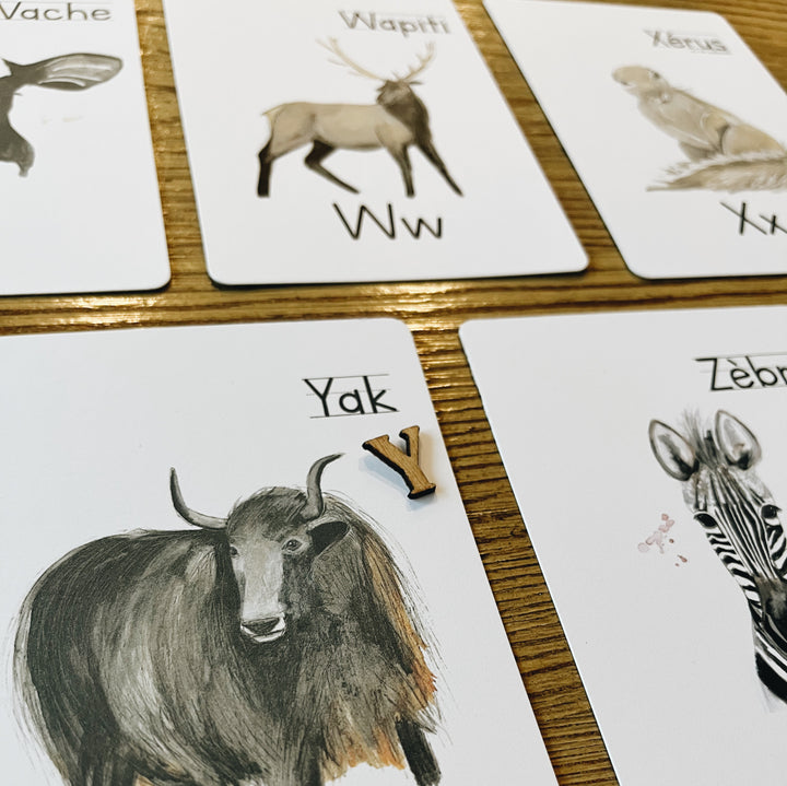 Cartes à lettres - Alphabet et nom des animaux