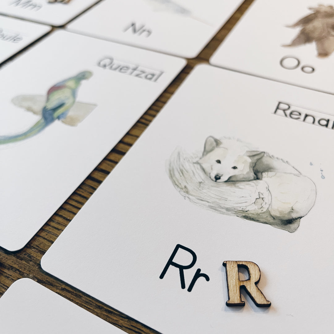 Cartes à lettres - Alphabet et nom des animaux