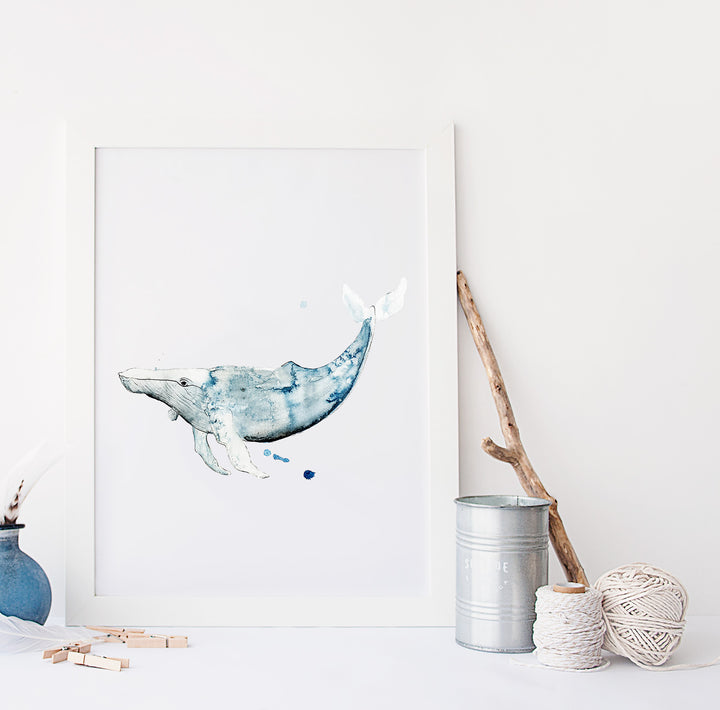 Illustration - Animaux marins - Baleine