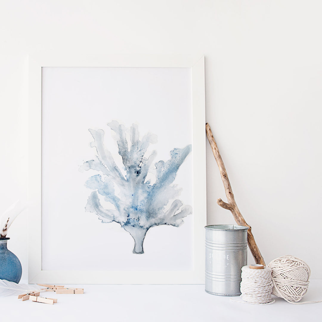 Illustration - Animaux marins - Corail bleu