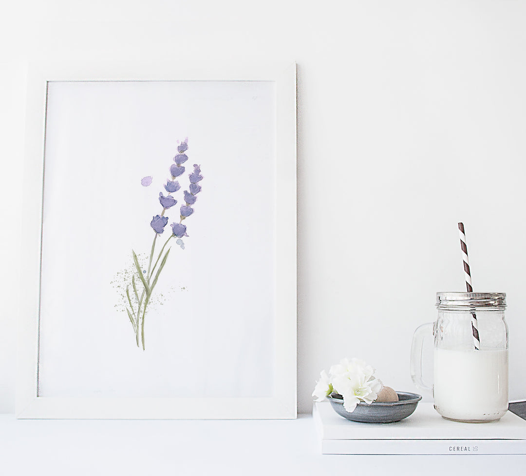 Illustration - Duo de lavande