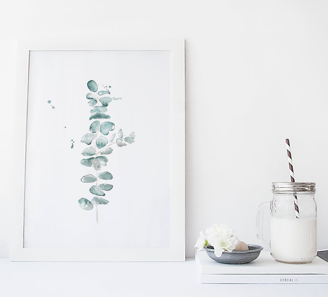 Illustration - Botanique - Branche d'eucalyptus