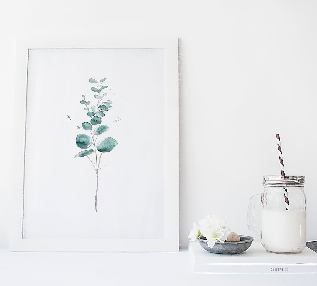 Illustration - Botanique - Branche d'eucalyptus