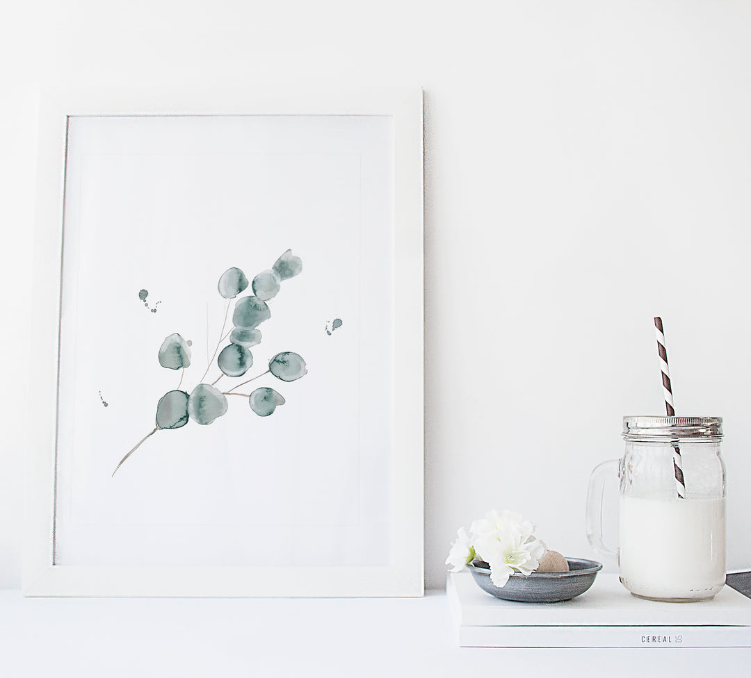 Illustration - Botanique - Branche d'eucalyptus