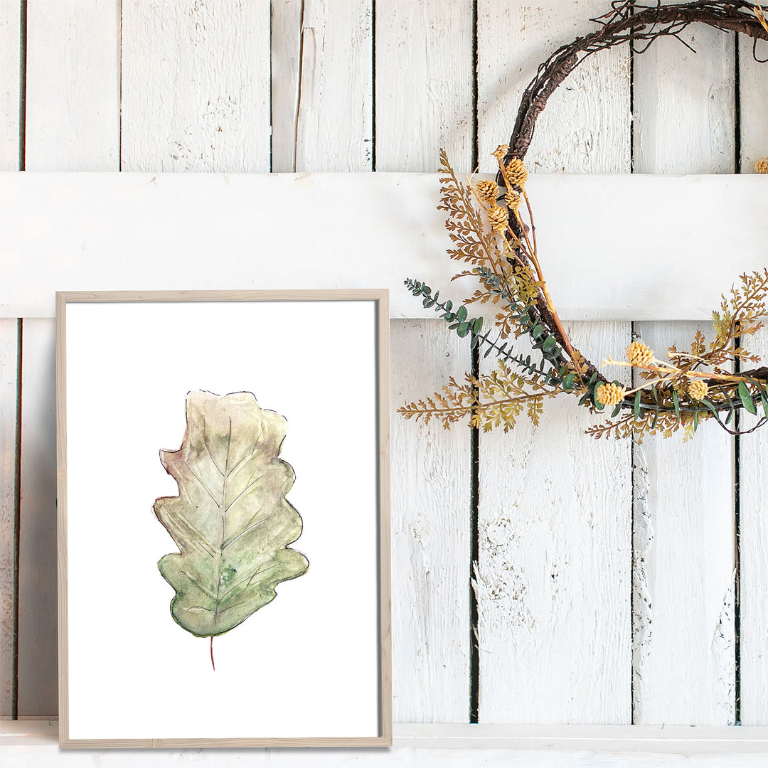 Illustration - Feuille de chêne