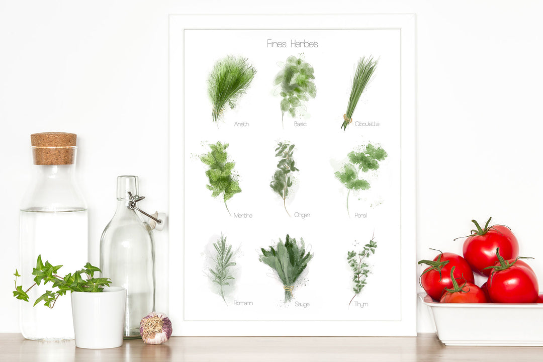 Illustration botanique - les fines herbes
