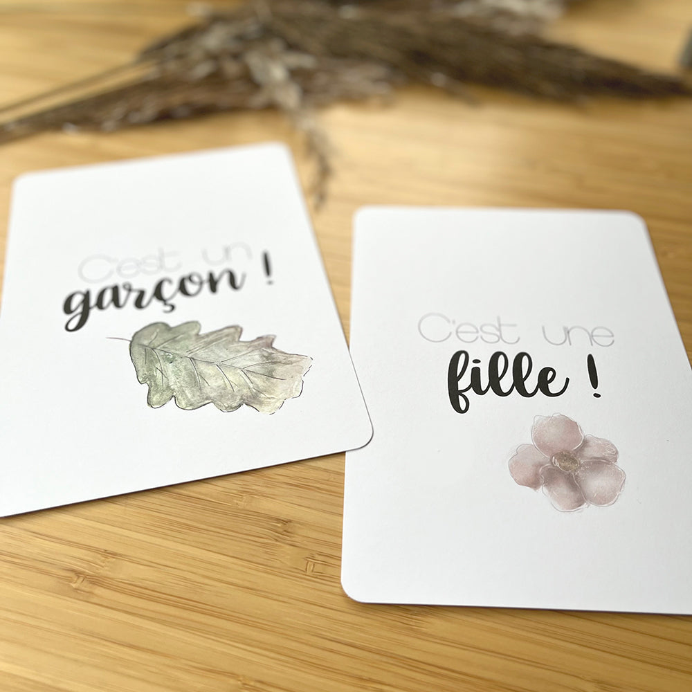 Cartes-étapes - Ma grossesse, Pampas et feuillage