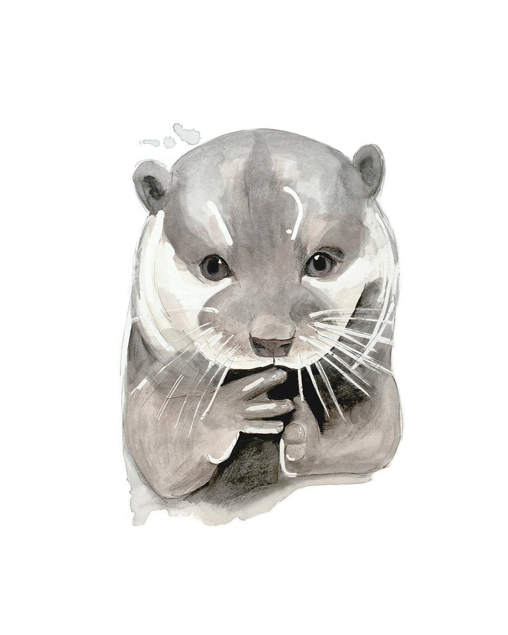 Loutre - Animaux de la forêt - Loutre de rivière