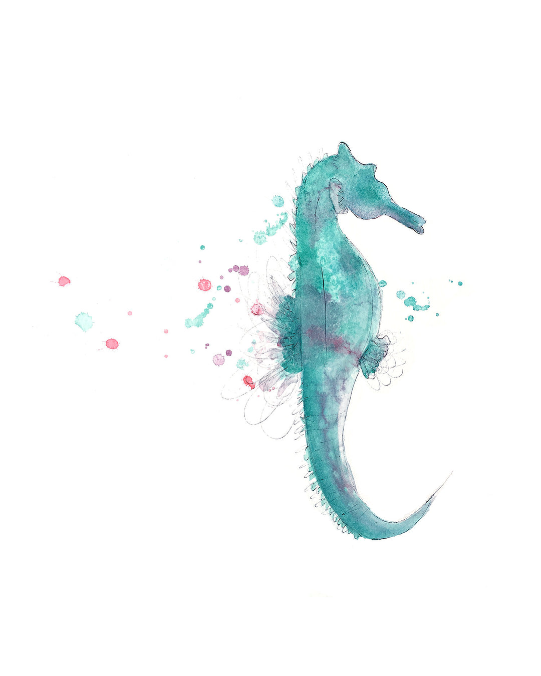 Illustration - Animaux marins - Hippocampe