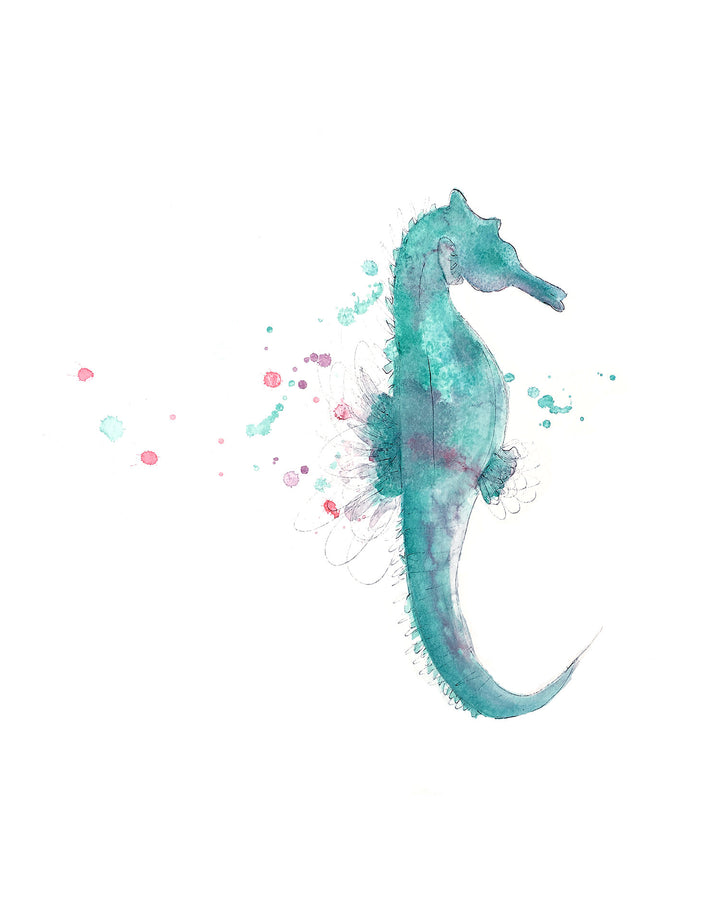 Illustration - Animaux marins - Hippocampe