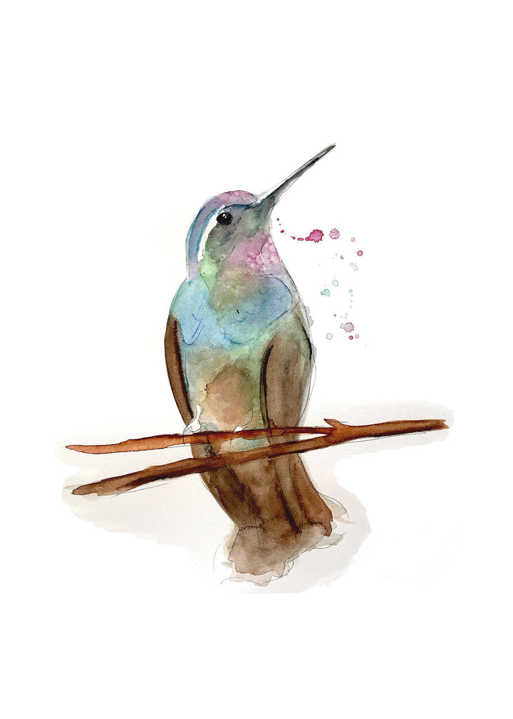 Illustration - Oiseaux - Colibri
