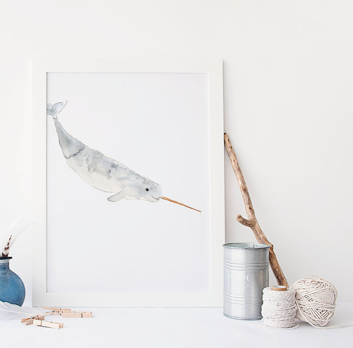 Illustration - Animaux marins - Narval