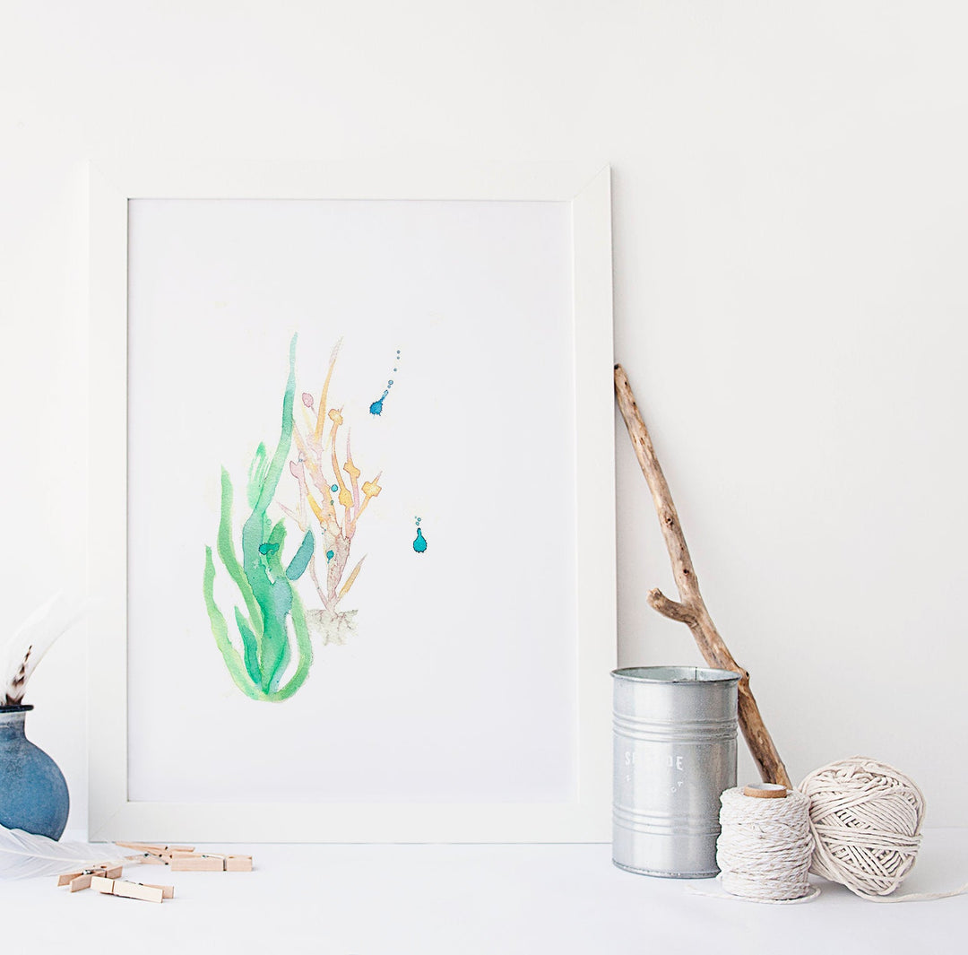 Illustration algues marine