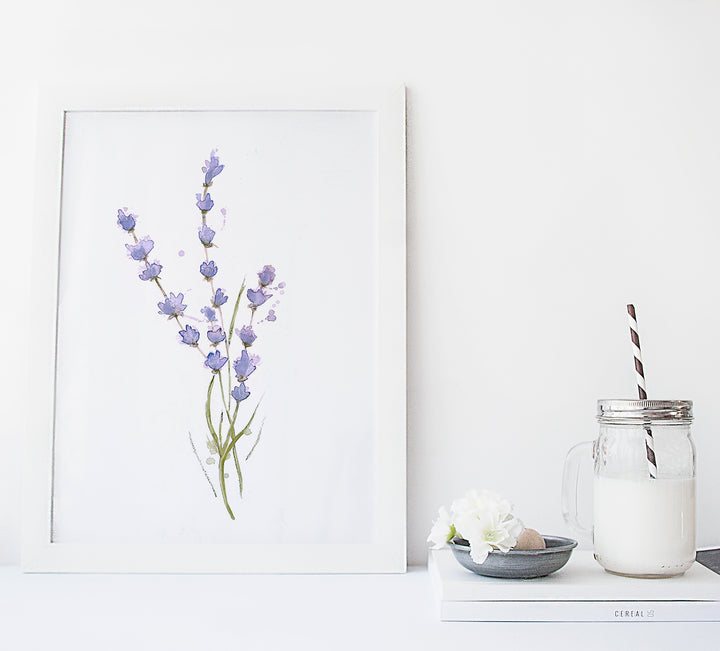 Illustration - Trio fleurs de lavande