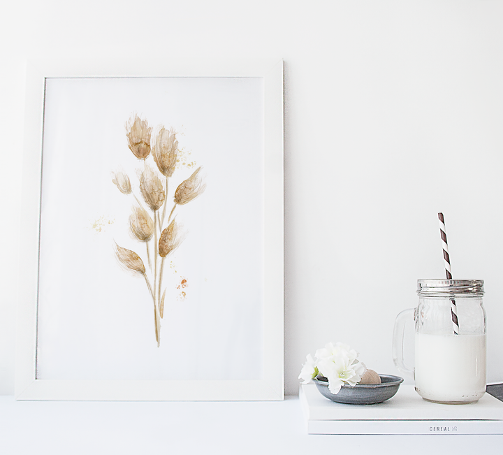 Ensemble d'illustrations pampas